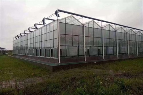 玻璃温室大棚制作