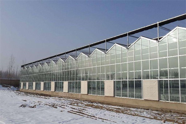 上海有实力的玻璃温室建设
