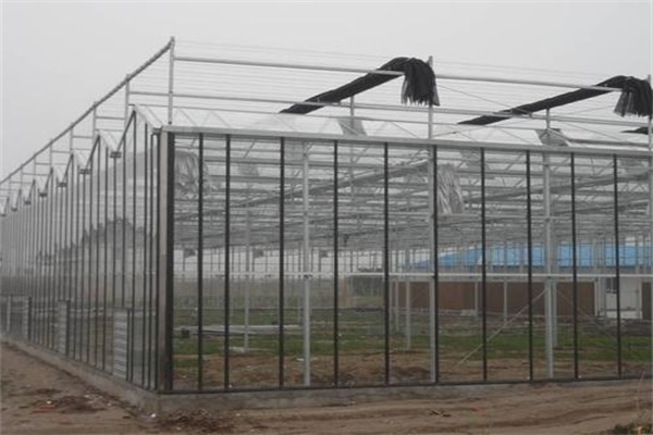 新疆供应蔬菜大棚建设