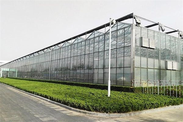 芜湖供应日光温室建设