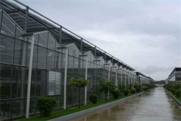 荆州有实力的温室建设