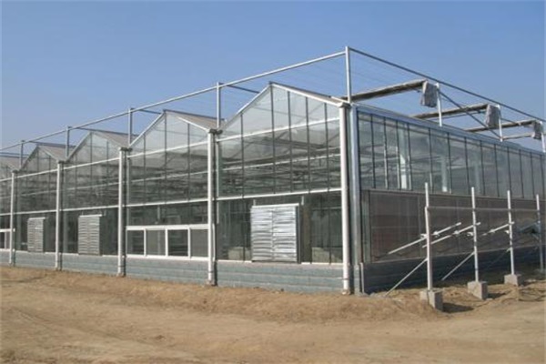 亳州供应温室大棚价格