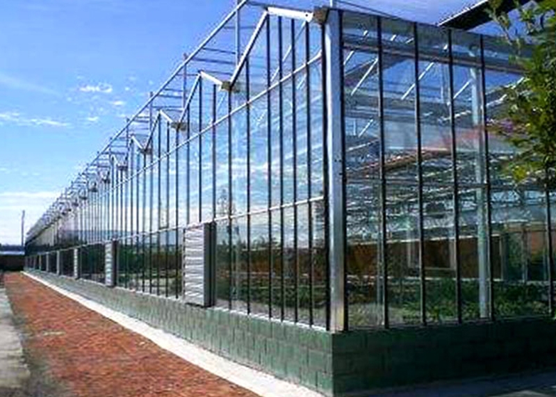 安徽玻璃温室大棚