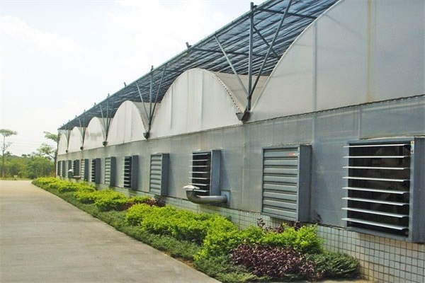 玻璃温室大棚生产工厂